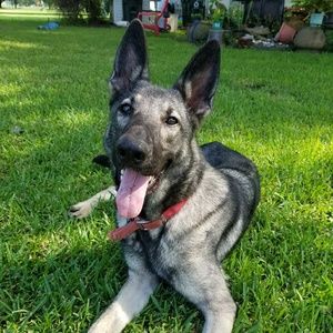 Meet your Posher, Michelle